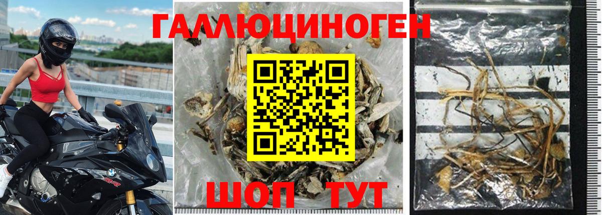Галлюциногенные грибы прущие грибы  Вход с VPN  купить наркотик  Верхний Уфалей 